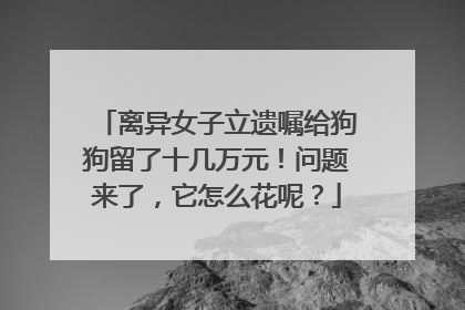 离异女子立遗嘱给狗狗留了十几万元！问题来了，它怎么花呢？