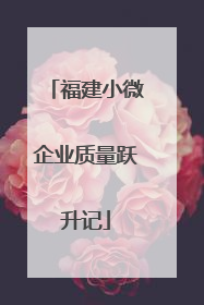 福建小微企业质量跃升记