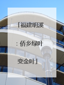 福建明溪：侨乡绿叶变金叶