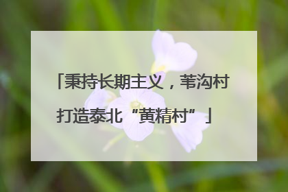 秉持长期主义，苇沟村打造泰北“黄精村”