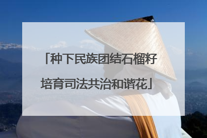 种下民族团结石榴籽 培育司法共治和谐花