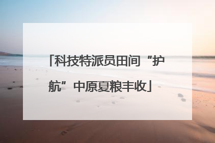 科技特派员田间“护航”中原夏粮丰收