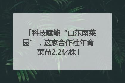 科技赋能“山东南菜园”，这家合作社年育菜苗2.2亿株