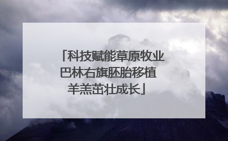 科技赋能草原牧业 巴林右旗胚胎移植羊羔茁壮成长