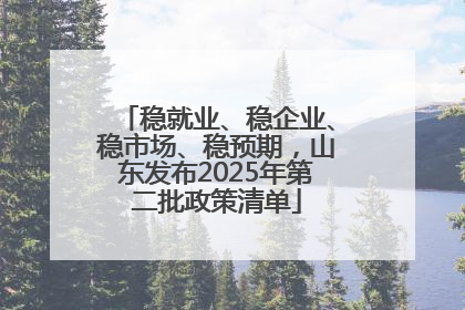 稳就业、稳企业、稳市场、稳预期，山东发布2025年第二批政策清单