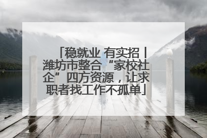 稳就业 有实招丨潍坊市整合“家校社企”四方资源，让求职者找工作不孤单