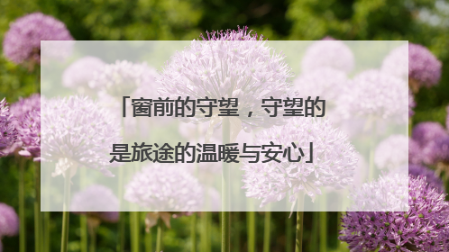 窗前的守望，守望的是旅途的温暖与安心