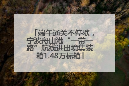 端午通关不停歇，宁波舟山港“一带一路”航线进出境集装箱1.48万标箱
