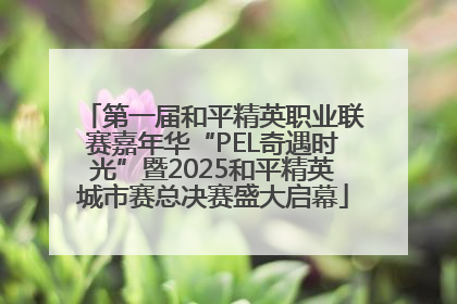 第一届和平精英职业联赛嘉年华“PEL奇遇时光”暨2025和平精英城市赛总决赛盛大启幕