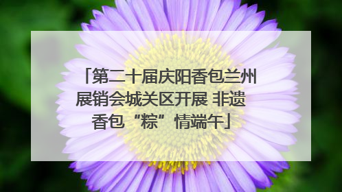 第二十届庆阳香包兰州展销会城关区开展 非遗香包“粽”情端午