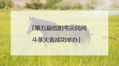 第五届信阳毛尖民间斗茶大赛成功举办