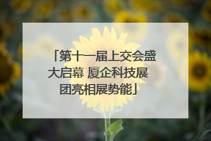 第十一届上交会盛大启幕 厦企科技展团亮相展势能