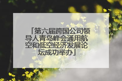 第六届跨国公司领导人青岛峰会通用航空和低空经济发展论坛成功举办