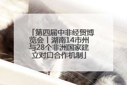 第四届中非经贸博览会丨湖南14市州与28个非洲国家建立对口合作机制