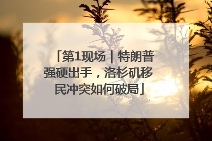 第1现场｜特朗普强硬出手，洛杉矶移民冲突如何破局