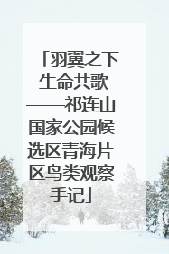羽翼之下 生命共歌——祁连山国家公园候选区青海片区鸟类观察手记