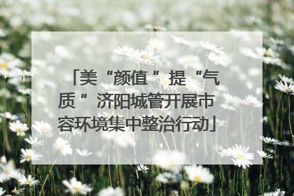 美“颜值 ”提“气质 ”济阳城管开展市容环境集中整治行动