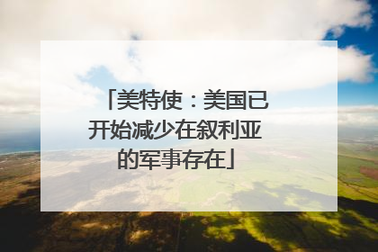 美特使：美国已开始减少在叙利亚的军事存在
