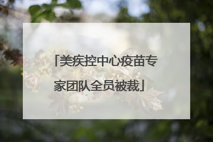 美疾控中心疫苗专家团队全员被裁