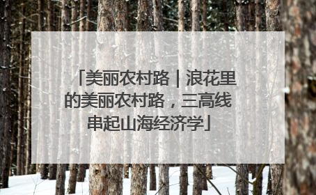 美丽农村路｜浪花里的美丽农村路，三高线串起山海经济学