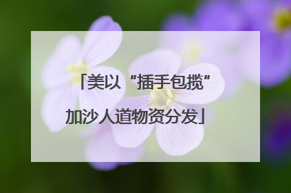 美以“插手包揽”加沙人道物资分发