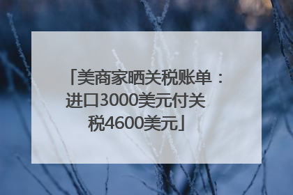 美商家晒关税账单：进口3000美元付关税4600美元