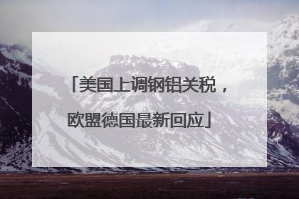 美国上调钢铝关税，欧盟德国最新回应