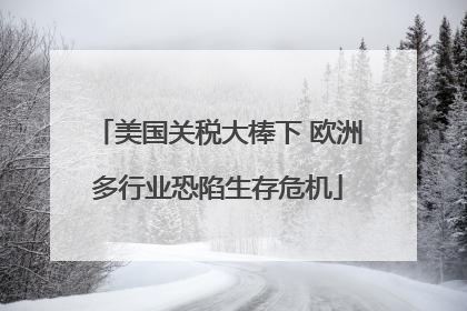 美国关税大棒下 欧洲多行业恐陷生存危机