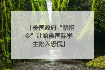 美国政府“禁招令”让哈佛国际学生陷入恐慌