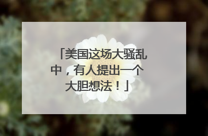 美国这场大骚乱中，有人提出一个大胆想法！