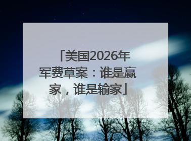 美国2026年军费草案：谁是赢家，谁是输家