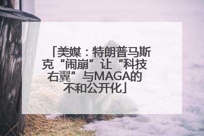 美媒：特朗普马斯克“闹崩”让“科技右翼”与MAGA的不和公开化