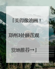 美得像油画！郑州3处睡莲观赏地推荐→