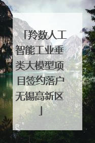 羚数人工智能工业垂类大模型项目签约落户无锡高新区
