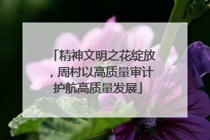 精神文明之花绽放，周村以高质量审计护航高质量发展