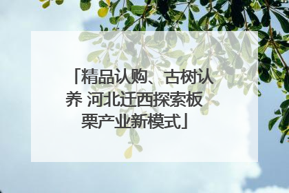 精品认购、古树认养 河北迁西探索板栗产业新模式