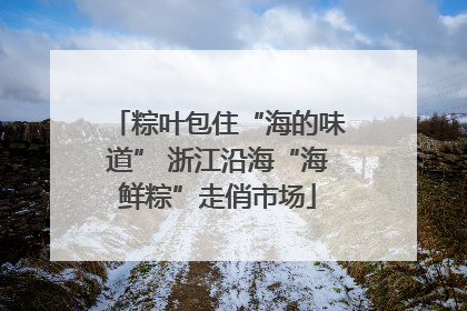 粽叶包住“海的味道” 浙江沿海“海鲜粽”走俏市场