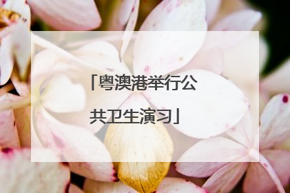 粤澳港举行公共卫生演习