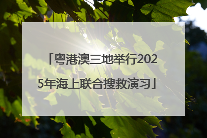 粤港澳三地举行2025年海上联合搜救演习
