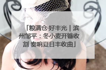 粮满仓·好丰光｜滨州邹平：冬小麦开镰收割 奏响夏日丰收曲