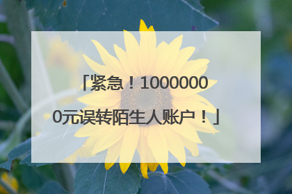 紧急！10000000元误转陌生人账户！