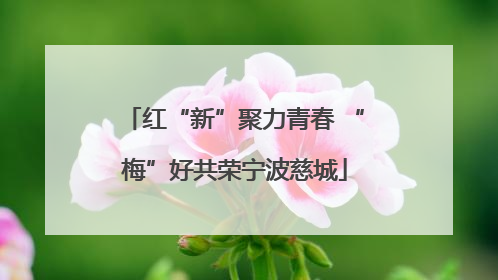 红“新”聚力青春 “梅”好共荣宁波慈城