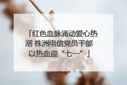 红色血脉涌动爱心热潮 株洲电信党员干部以热血迎“七一”