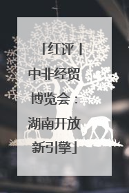 红评丨中非经贸博览会：湖南开放新引擎