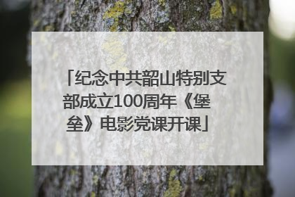 纪念中共韶山特别支部成立100周年《堡垒》电影党课开课