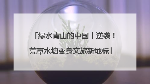 绿水青山的中国丨逆袭！荒草水塘变身文旅新地标