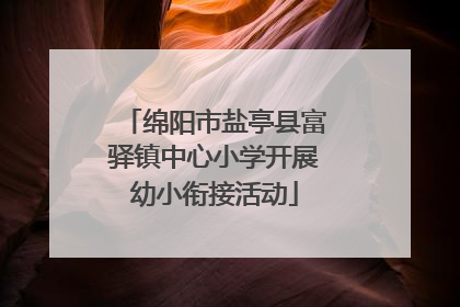 绵阳市盐亭县富驿镇中心小学开展幼小衔接活动