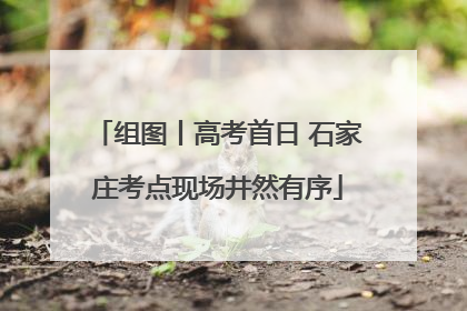 组图丨高考首日 石家庄考点现场井然有序