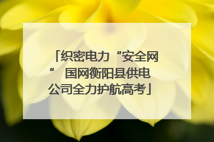 织密电力“安全网” 国网衡阳县供电公司全力护航高考