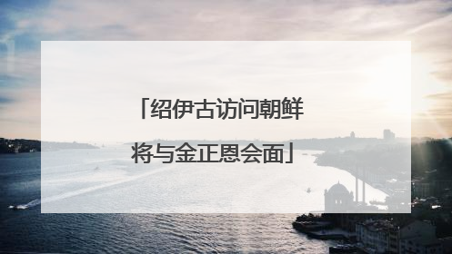 绍伊古访问朝鲜 将与金正恩会面
